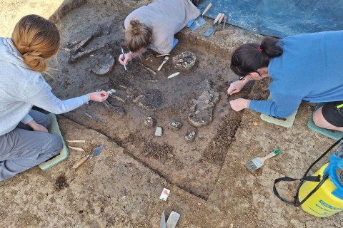 6800 Jahre altes Skelett in Niederbayern ausgegraben