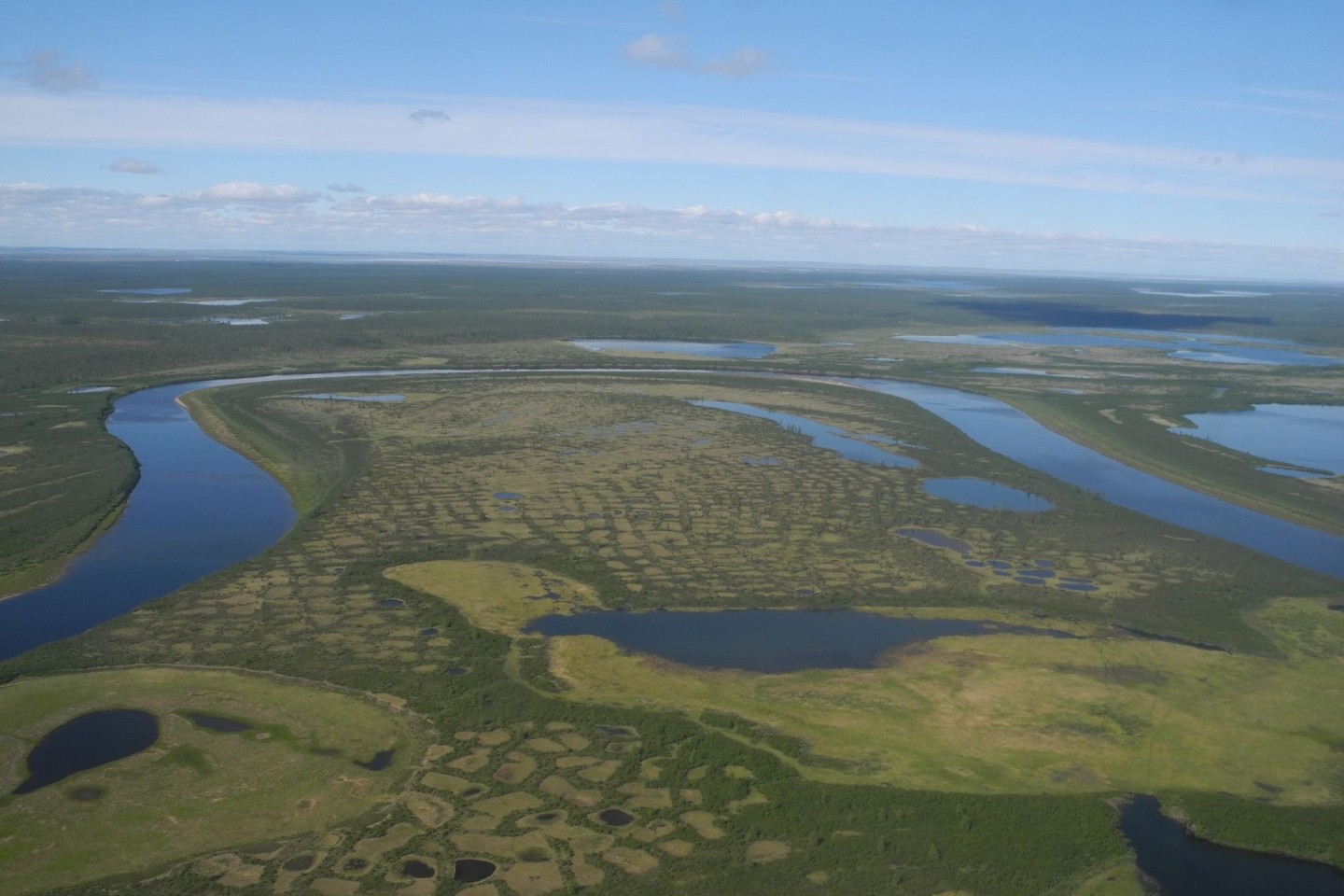 Luftaufnahme der offenen Lärchenwälder auf der russischen Taimyr-Insel - rund um den Fluss Chatanga.