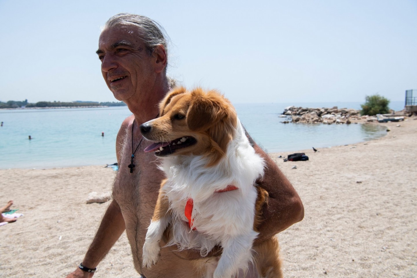 Am Strand in Athen: Menschen und Tiere leiden unter der Hitze: