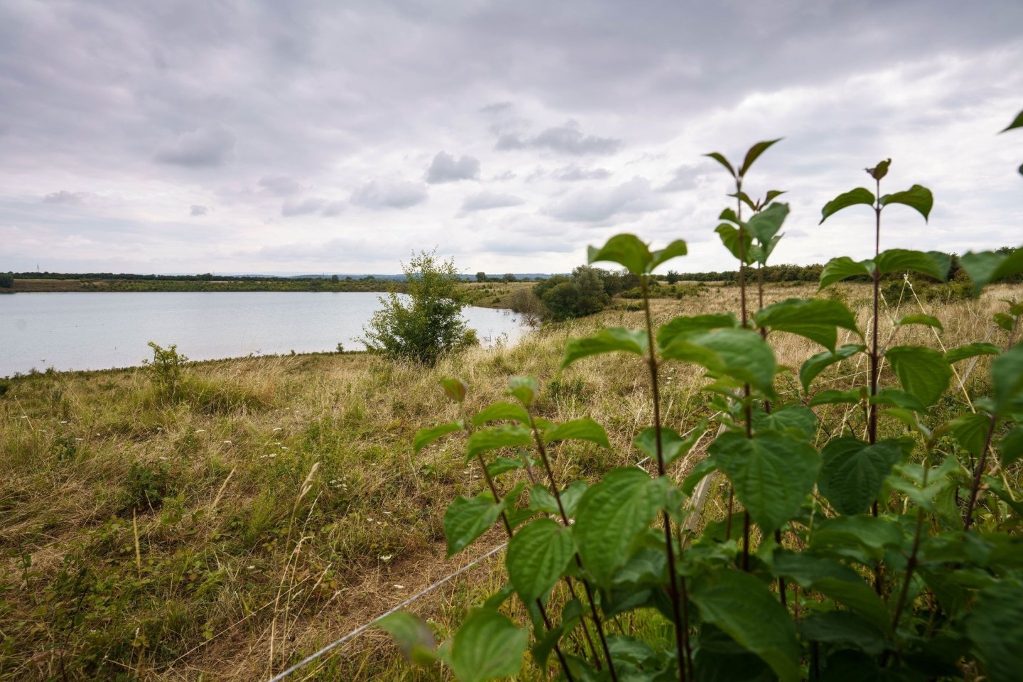 Die Leiche der 14-jährigen Ayleen wurde an einem kleinen See in einem Naturschutzgebiet der Wetterau nördlich von Frankfurt am Main gefunden.