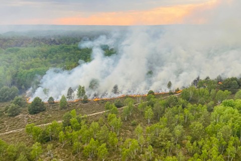 Lage bei Waldbrand bei Jüterbog entspannt sich 