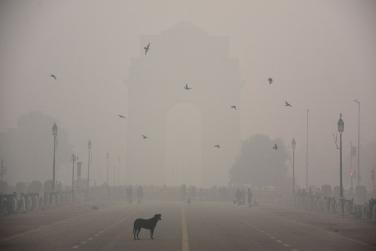 Das India Gate in Neu Delhi ist wegen der starken Luftverschmutzung kaum zu sehen.