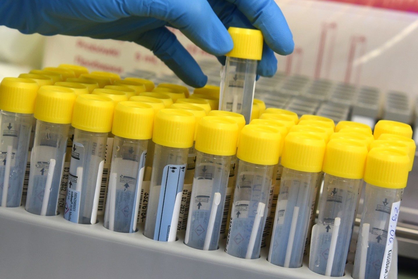 Im Labor wird die Analyse von PCR-Tests vorbereitet.