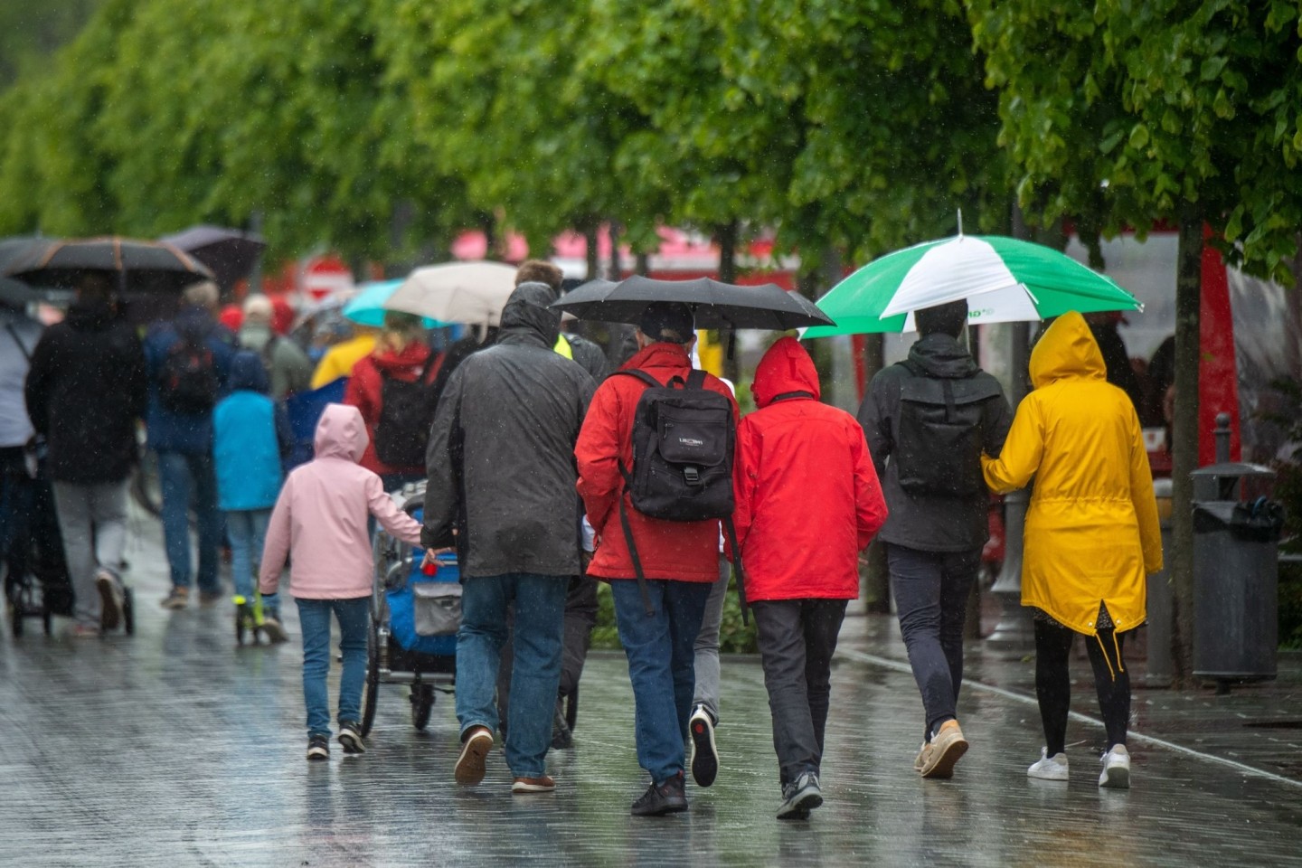 Spaziergänger sind mit Regenschirmen auf der Strandpromenade im Ostseebad Binz unterwegs. Graue Wolken, Regen und Wind sorgen für kühles Wetter an der Küste.