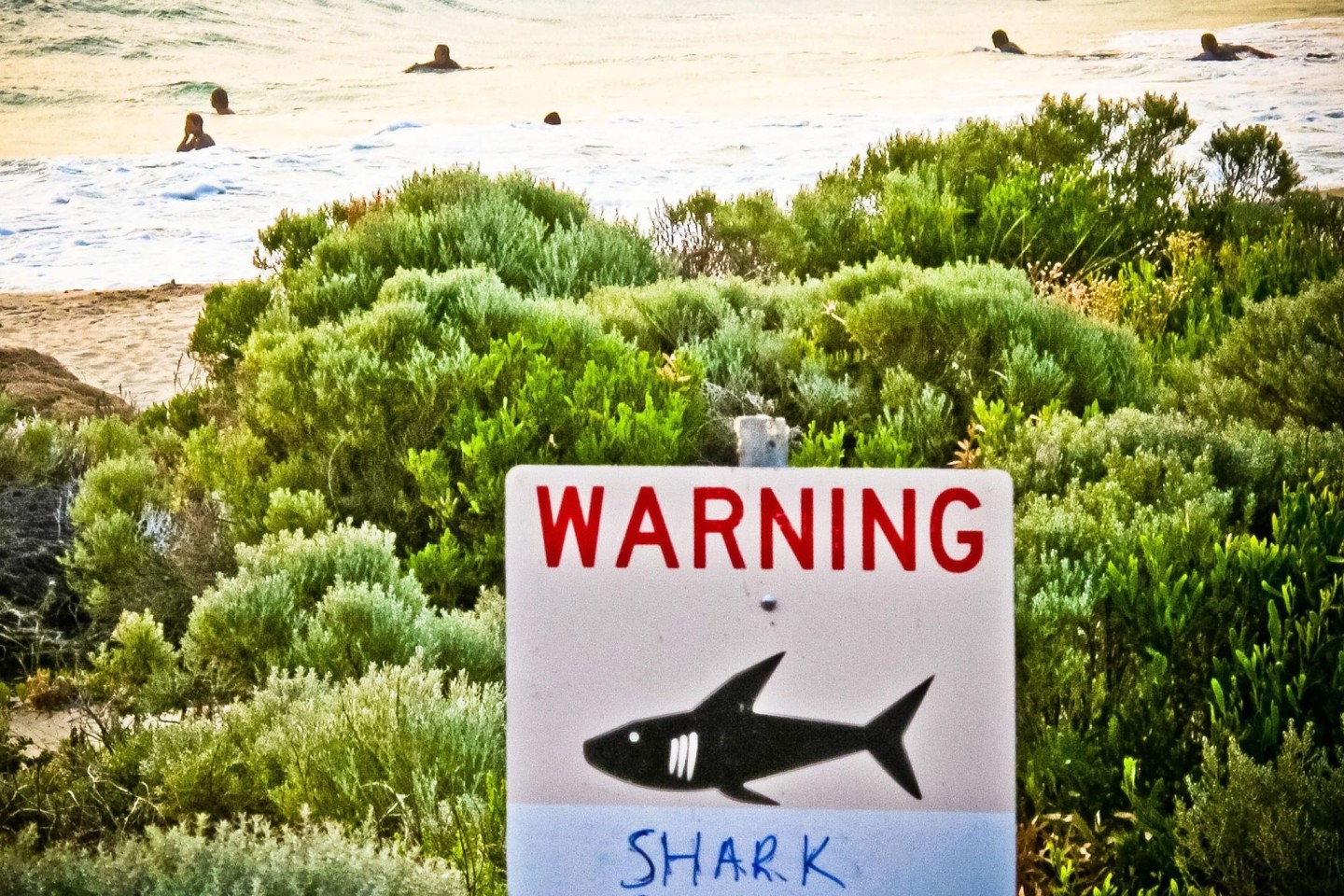 Ein Schild an einem australischen Strand warnt vor Haien (Symbolbild).